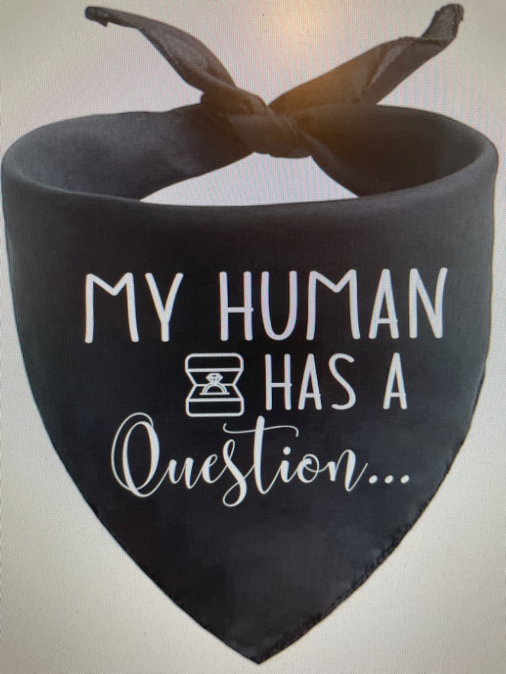 Pet Proposal Bandana